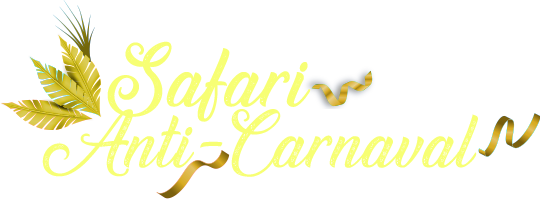 Pacotes de carnaval