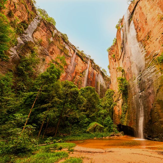 Tend&ecirc;ncia de ecoturismo